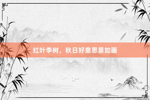 红叶李树，秋日好意思景如画
