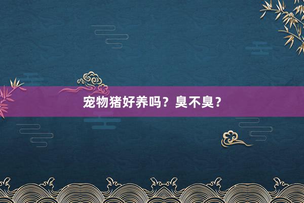 宠物猪好养吗？臭不臭？