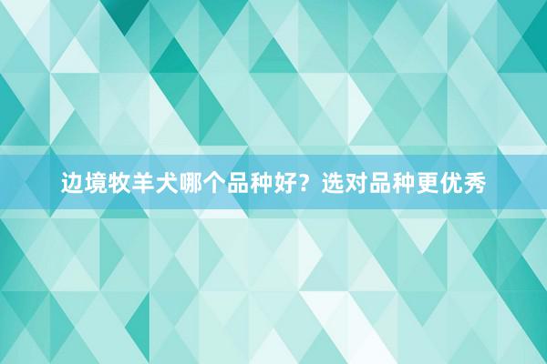 边境牧羊犬哪个品种好？选对品种更优秀
